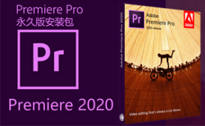 Adote PR 2020 免费破解版